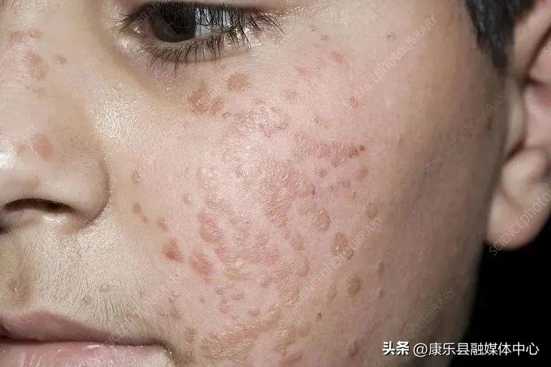 第221页