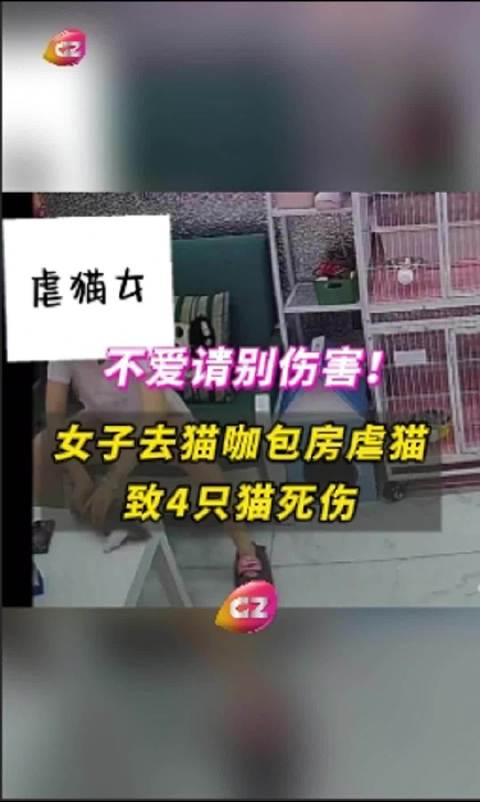 第243页
