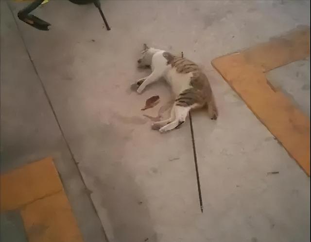 港澳新闻 第32页