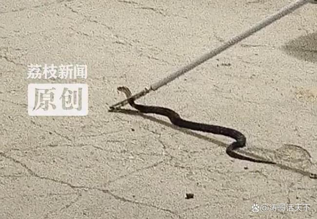 热点生活 第35页