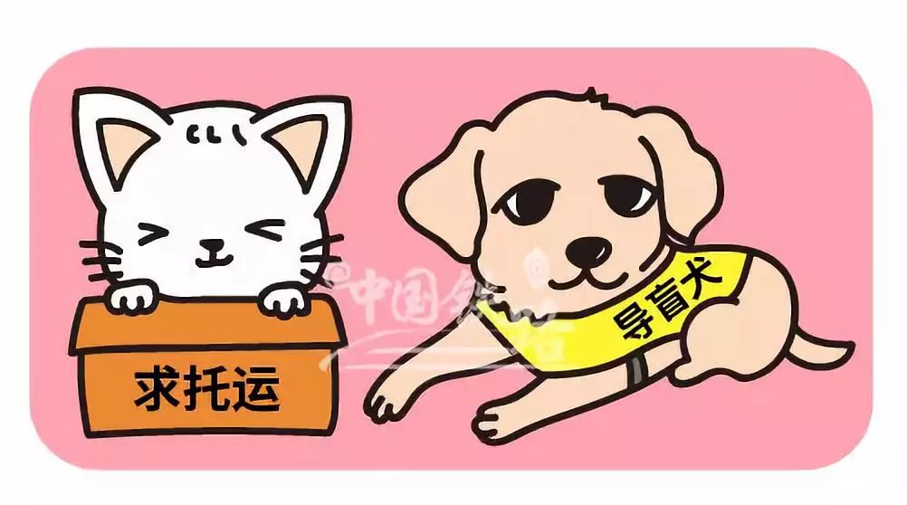 最新资讯 第14页