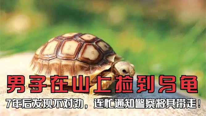 最新资讯 第12页